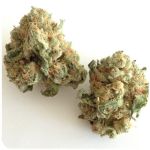 Шишки "White Widow"  (Белая вдова)  Гидропоника -  Бошка VHQ в Ухте
